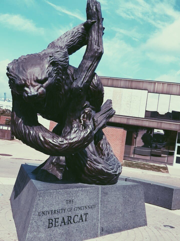 ashleyybarron's tweet photo. I am very excited to announce I will be continuing my academic and athletic careers at the University of Cincinnati! Go Bearcats ❤️⚽️🖤 https://t.co/1mSPr3t3V6