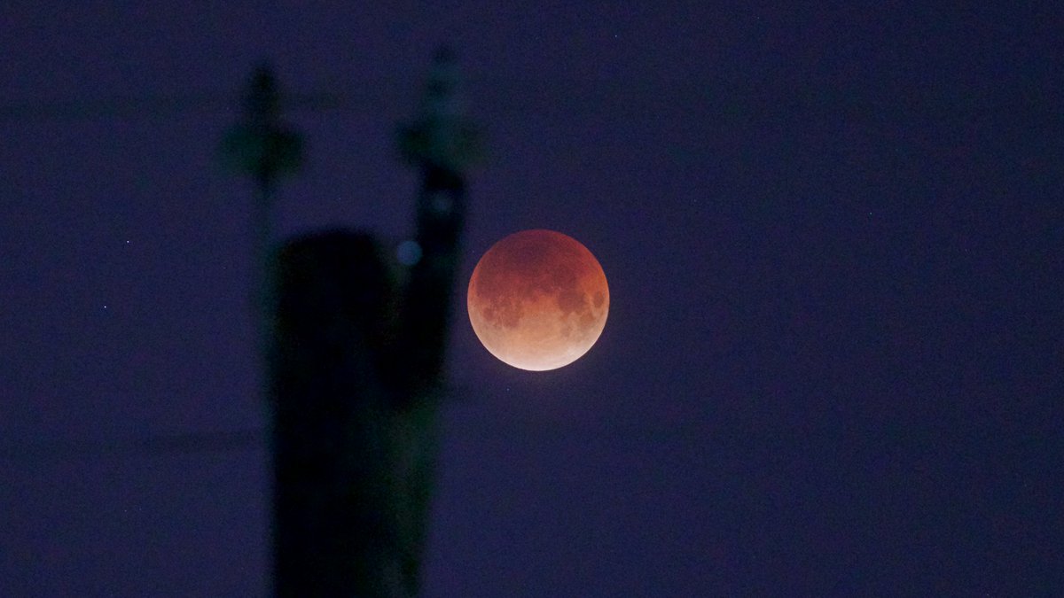 slePP's tweet photo. This morning's #BlueMoon #eclipse turned out well here in #YEG. I put together a video of what I managed to capture: https://t.co/WYACrSNNjs #BloodMoon https://t.co/HBt5xZH6AA