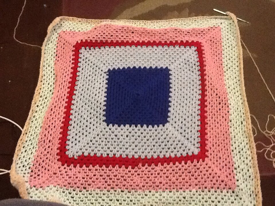 Day 3. Blanket growing well