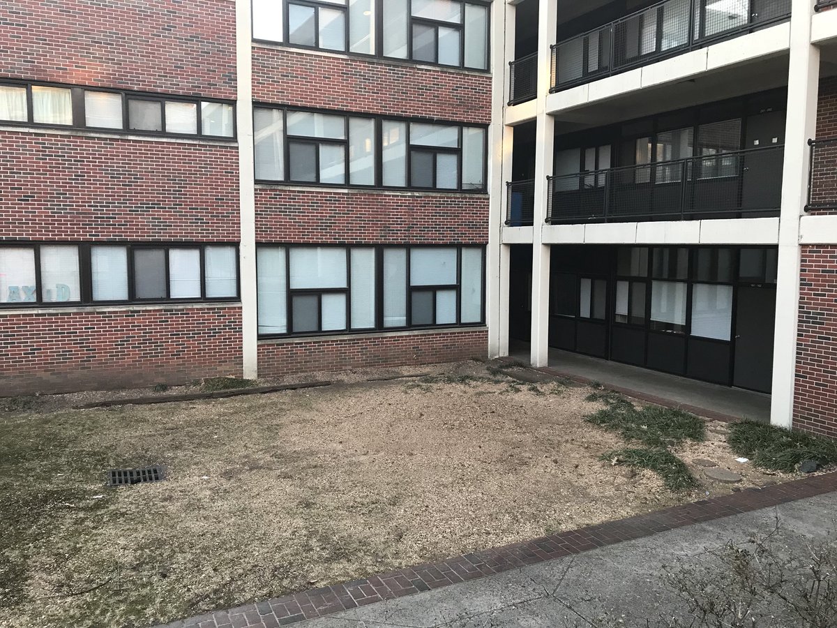 Dr. John Smarrelli tweet media