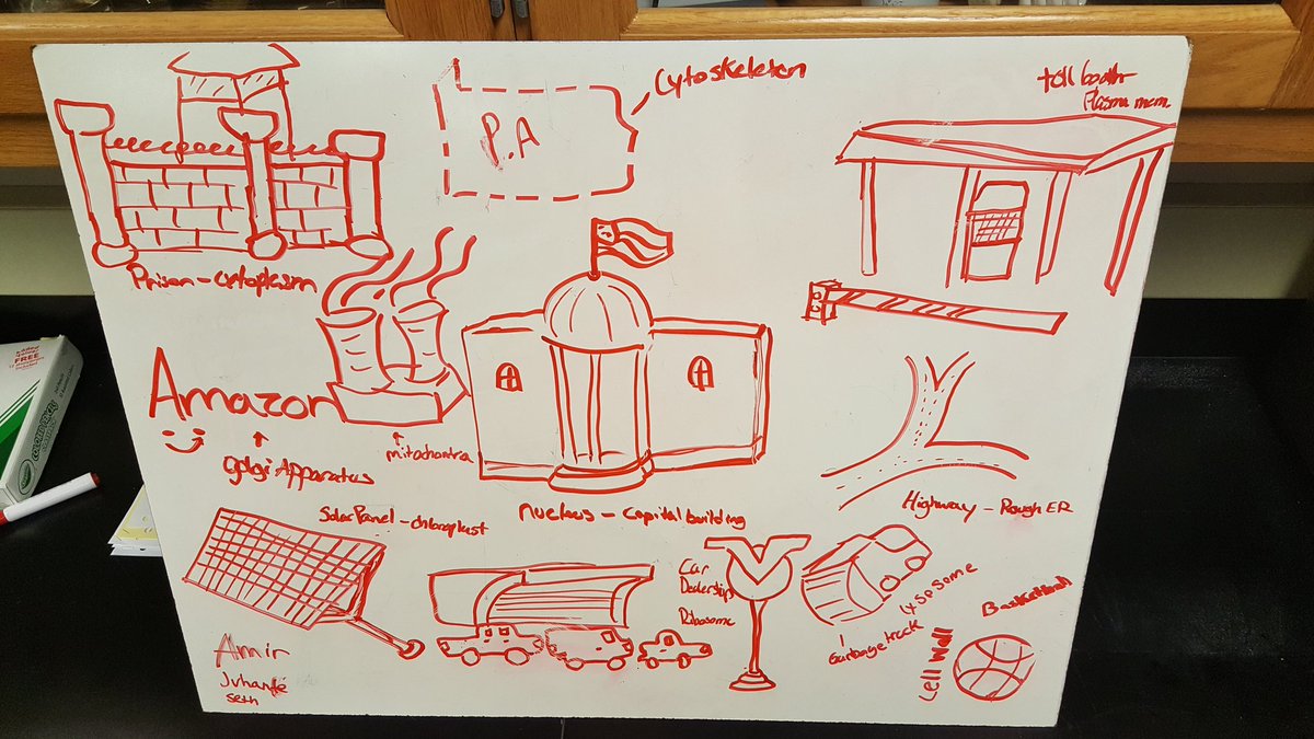 tsflick's tweet photo. Biology students white board analogies for cell parts. They have creative ideas and are talented artists. @CVSciTech https://t.co/ms4ccIoOmn