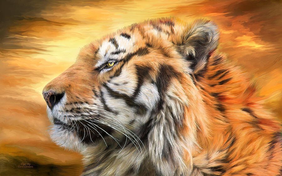 Quinn 💛(G.Quinn Rogers) (@quinnqueens) on Twitter photo <a href="/j_ahlia/">j❥є❥n❥z❥ч</a> <a href="/MincaVlinder/">水瀬伊織</a> <a href="/ginestarros/">SuperGina♥️💚♥️</a> @exploradoryanez <a href="/ScarfaceQbc/">Scarface #TT4F #MGWV</a> <a href="/Stallion_Team/">Frankie * Stallion Gains *</a> @RaisAlGhousia @Claire_MGWV <a href="/MAJIX/">johnny majix</a> <a href="/omniajen/">ʝąʑ🌷</a> <a href="/PaulTwigg4/">Paul</a> <a href="/TabletWallpaper/">Tablet Wallpapers</a> <a href="/HotSonna1/">Riad Nasser $0</a> <a href="/MarEthr/">👉 Mark 28K 😜👇</a> <a href="/fulla_studio/">Fulla Studio</a> <a href="/gamer_fulla/">👑#ROYAL👑#INFINITY#MUNEE</a> <a href="/vilaandrealili1/">AňԀяєa し.❥ ∞</a> .
#TT4F #TEAMSTALLION
#TmSmile #TFZ #MGWV
#MUNEE #INFINITY
<a href="/ScarfaceQbc/">Scarface #TT4F #MGWV</a> @exploradoryanez <a href="/MincaVlinder/">水瀬伊織</a> <a href="/Quinnqueens/">Quinn 💛(G.Quinn Rogers)</a> <a href="/Stallion_Team/">Frankie * Stallion Gains *</a> <a href="/j_ahlia/">j❥є❥n❥z❥ч</a> @Claire_MGWV <a href="/omniajen/">ʝąʑ🌷</a> <a href="/PaulTwigg4/">Paul</a> <a href="/TabletWallpaper/">Tablet Wallpapers</a> <a href="/HotSonna1/">Riad Nasser $0</a> <a href="/MarEthr/">👉 Mark 28K 😜👇</a> <a href="/fulla_studio/">Fulla Studio</a> <a href="/ginestarros/">SuperGina♥️💚♥️</a> <a href="/gamer_fulla/">👑#ROYAL👑#INFINITY#MUNEE</a> <a href="/vilaandrealili1/">AňԀяєa し.❥ ∞</a> <a href="/j_ahlia/">j❥є❥n❥z❥ч</a> <a href="/MincaVlinder/">水瀬伊織</a> <a href="/ginestarros/">SuperGina♥️💚♥️</a> @exploradoryanez <a href="/ScarfaceQbc/">Scarface #TT4F #MGWV</a> <a href="/Stallion_Team/">Frankie * Stallion Gains *</a> @RaisAlGhousia @Claire_MGWV <a href="/MAJIX/">johnny majix</a> <a href="/omniajen/">ʝąʑ🌷</a> <a href="/PaulTwigg4/">Paul</a> <a href="/TabletWallpaper/">Tablet Wallpapers</a> <a href="/HotSonna1/">Riad Nasser $0</a> <a href="/MarEthr/">👉 Mark 28K 😜👇</a> <a href="/fulla_studio/">Fulla Studio</a> <a href="/gamer_fulla/">👑#ROYAL👑#INFINITY#MUNEE</a> <a href="/vilaandrealili1/">AňԀяєa し.❥ ∞</a> .
#TT4F #TEAMSTALLION
#TmSmile #TFZ #MGWV
#MUNEE #INFINITY
<a href="/ScarfaceQbc/">Scarface #TT4F #MGWV</a> @exploradoryanez <a href="/MincaVlinder/">水瀬伊織</a> <a href="/Quinnqueens/">Quinn 💛(G.Quinn Rogers)</a> <a href="/Stallion_Team/">Frankie * Stallion Gains *</a> <a href="/j_ahlia/">j❥є❥n❥z❥ч</a> @Claire_MGWV <a href="/omniajen/">ʝąʑ🌷</a> <a href="/PaulTwigg4/">Paul</a> <a href="/TabletWallpaper/">Tablet Wallpapers</a> <a href="/HotSonna1/">Riad Nasser $0</a> <a href="/MarEthr/">👉 Mark 28K 😜👇</a> <a href="/fulla_studio/">Fulla Studio</a> <a href="/ginestarros/">SuperGina♥️💚♥️</a> <a href="/gamer_fulla/">👑#ROYAL👑#INFINITY#MUNEE</a> <a href="/vilaandrealili1/">AňԀяєa し.❥ ∞</a>