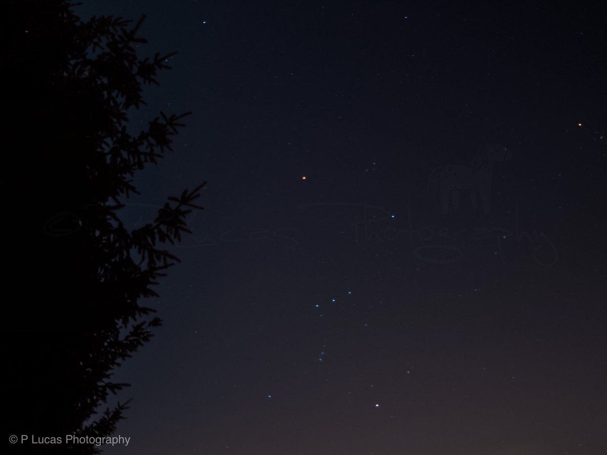 PLucasPhoto's tweet photo. An amazing night for stargazers! #clearskies #brightstars #orionsbelt #cassiopeia #starlightstarbright #twinkletwinkle #astrophotography #skyscapephotography #amazingviews #mothernaturerocks #plucasphotography https://t.co/5ooSFhodTR