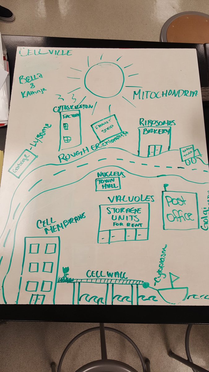 tsflick's tweet photo. Biology students white board analogies for cell parts. They have creative ideas and are talented artists. @CVSciTech https://t.co/ms4ccIoOmn