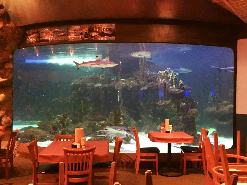 ReynoldsPolymer's tweet photo. Enjoy great food &amp; good times with Dillon’s world-famous K.C. Style barbecue beside the #sharktank inside the #Aquarium at the @ZooWildlife. https://t.co/eHb8uUNoX5

#reynoldspolymer #wildlifezoo #aquariums #zoo #safari #webuildtheimpossible #acrylicexperts #engineeredacrylic https://t.co/dMQTy5xpjd