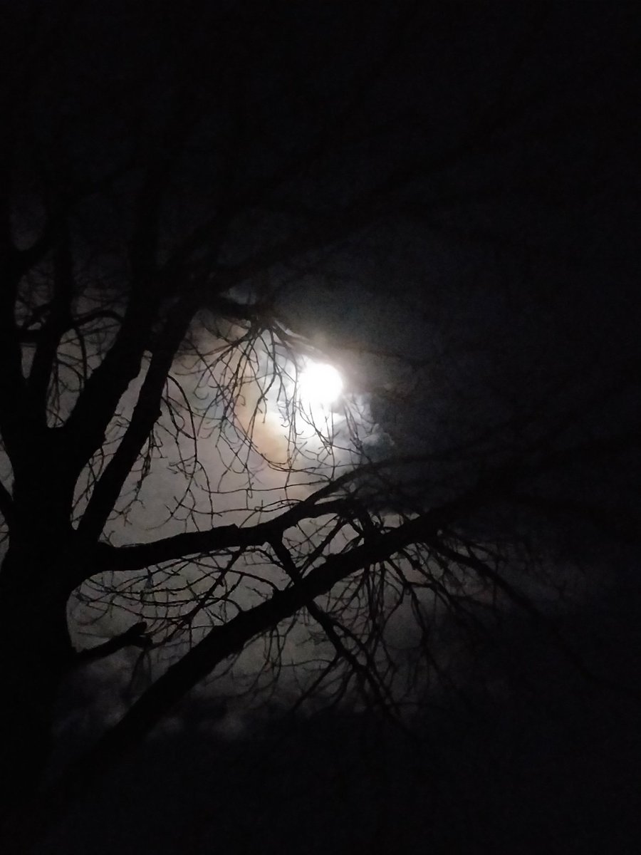 FoodSaversUK's tweet photo. Be4 the #Supermoon2018
I bow my head
& bid farewell 2day
I take tea 2 my chamber bed
Set 2 dream away the day
Good nite
Sweet dreams
Sleep tight
Nods a nod to the unique #BloodBlueMoon
#TeaHour
#AliceInWonderland
#MadHatterTea
#TweetMaster https://t.co/mguVRo6raZ