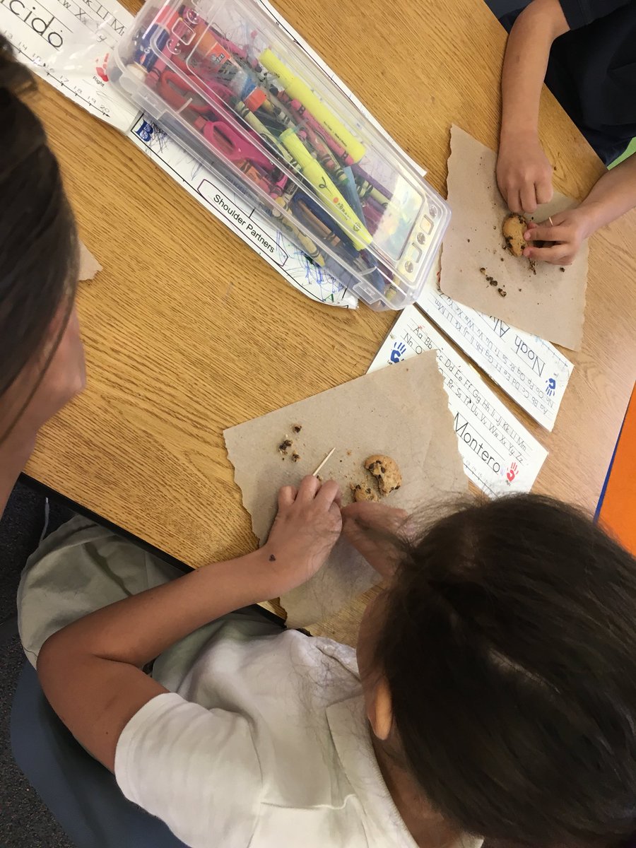JenniferGlueck's tweet photo. As part of our exploration of fossils, we “excavated” some fossils (chocolate chips) from our “matrix” (cookie) using toothpicks! #camelview #MSD #msd38 https://t.co/ZGYbPk7ftB