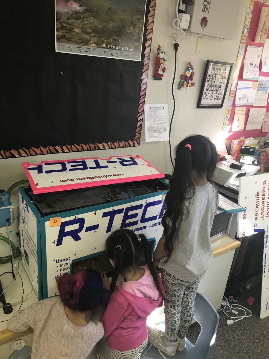AnnieGraton's tweet photo. My first graders have been loving the opportunity to teach Kinders about Trout. @missflaherty23 #rioschools #troutintheclassroom https://t.co/sUaXaZscrD