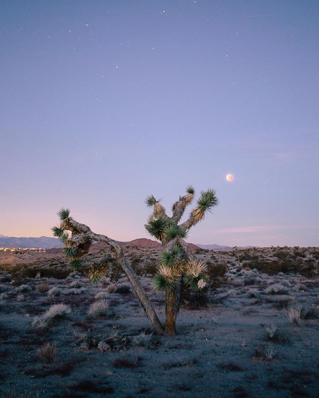 Rich Combs tweet media