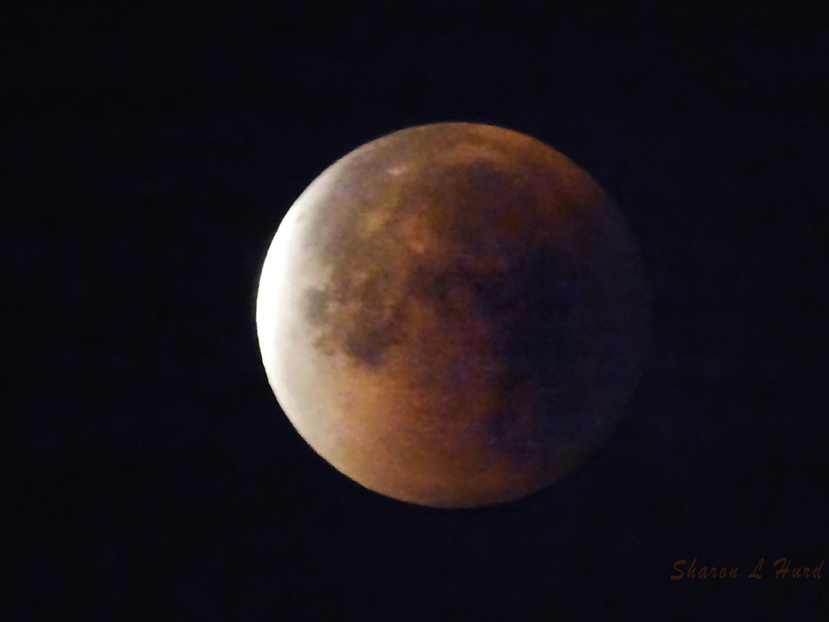 SharonL_Hurd's tweet photo. Super Blue Blood Moon #goathillgirl #superbluebloodmoon #upbeforedawn #onceinalifetime #Supermoon2018 #moon #photography https://t.co/TF6Ic1FZMH
