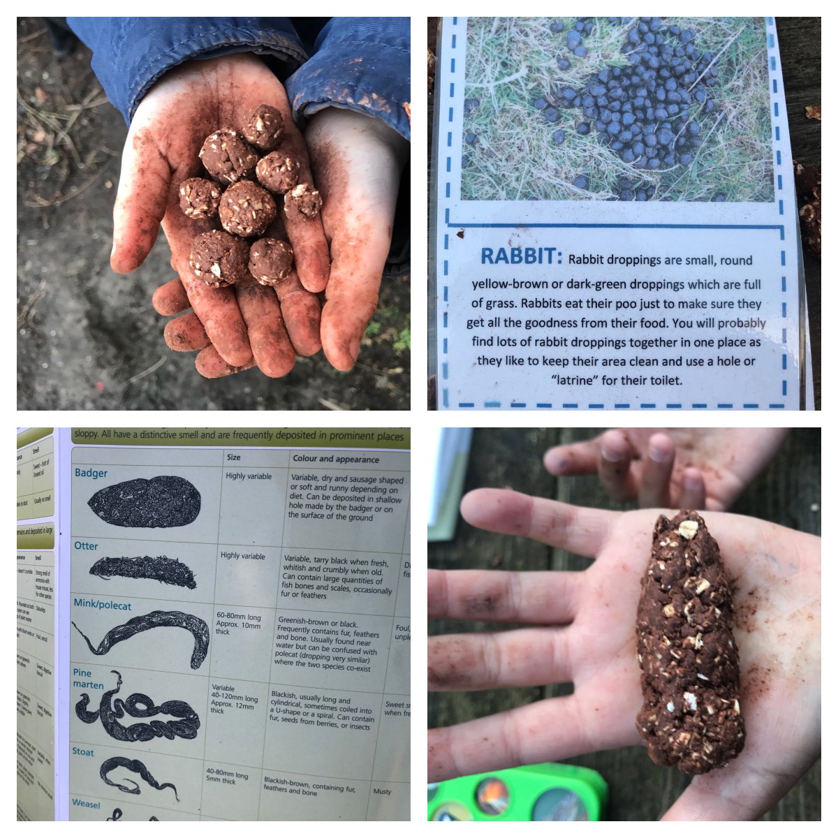 ecoACTIVE_UK's tweet photo. Outdoor play gives #children the opportunity to manage #risk immersed in #nature. Research also shows that children who engage with nature have a greater sense of #environmental #responsibility when they become adults  #everychildoutdoors #wellbeing #HackneyForestSchool https://t.co/x1tgCY1VUv