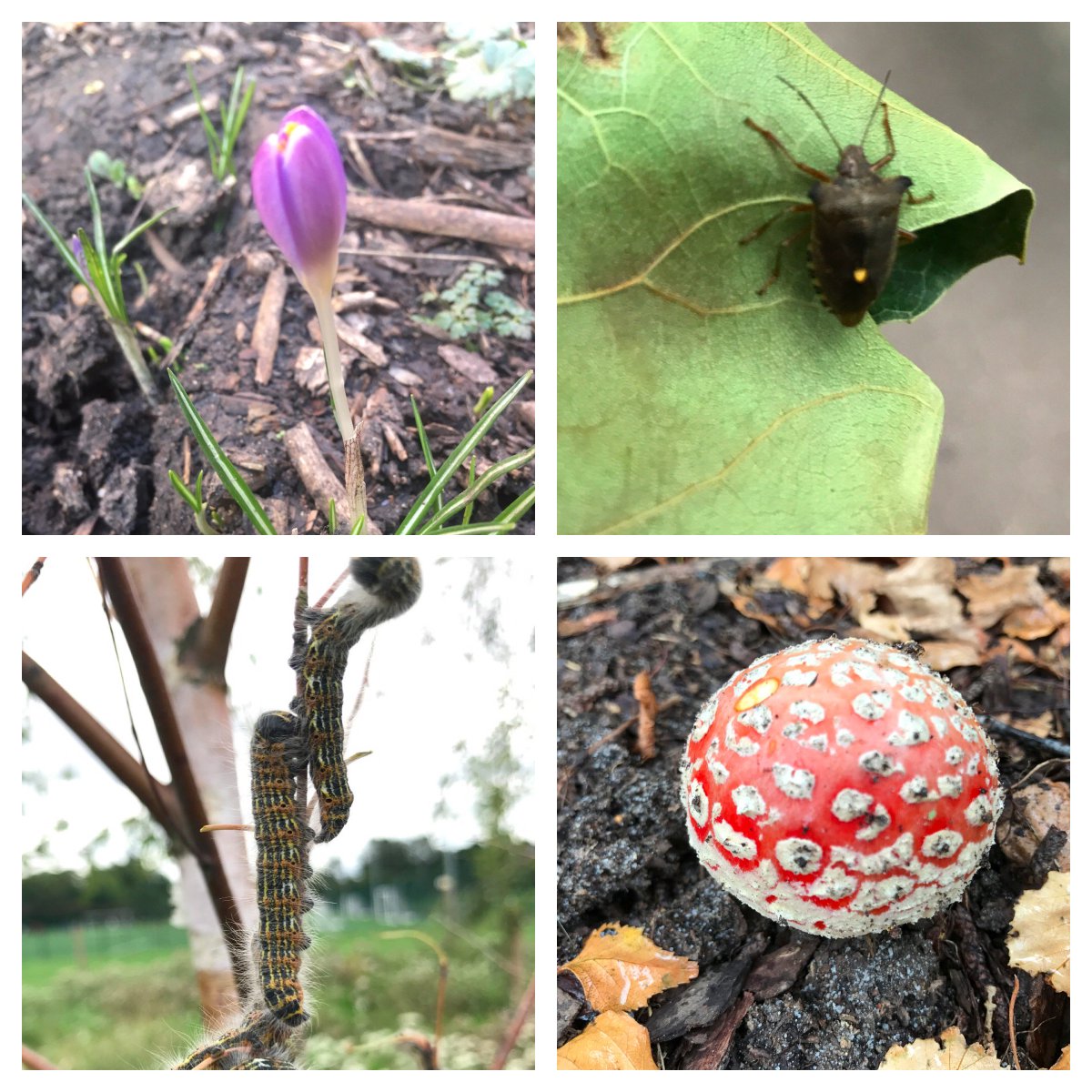 ecoACTIVE_UK's tweet photo. Outdoor play gives #children the opportunity to manage #risk immersed in #nature. Research also shows that children who engage with nature have a greater sense of #environmental #responsibility when they become adults  #everychildoutdoors #wellbeing #HackneyForestSchool https://t.co/x1tgCY1VUv