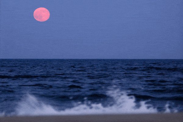 MyLightandLove's tweet photo. #BloodMoon #bloodbluemoon #LunarEclipse2018 https://t.co/MWVO0heWX9 https://t.co/kcXTfclkz3