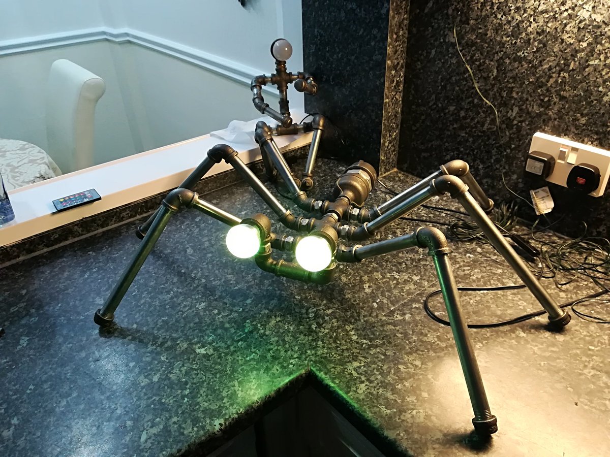 Marktorquay1's tweet photo. @CherishUpcycled Love the dog lamp looks super cool. This is a giant bug I've just finished with remote control colour changing led lights. https://t.co/yiDSTDZM3i