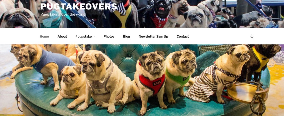 ALSO: We are also super excited to unveil the brand new #PugTakeover web site, pugtakeovers.com. Please check it out for info about #PugsTakeBoston, #PugsTakeVegas and more! (Thanks to <a href="/BoogiethePug/">Boogie the Pug</a> for designing it!) #PugChat