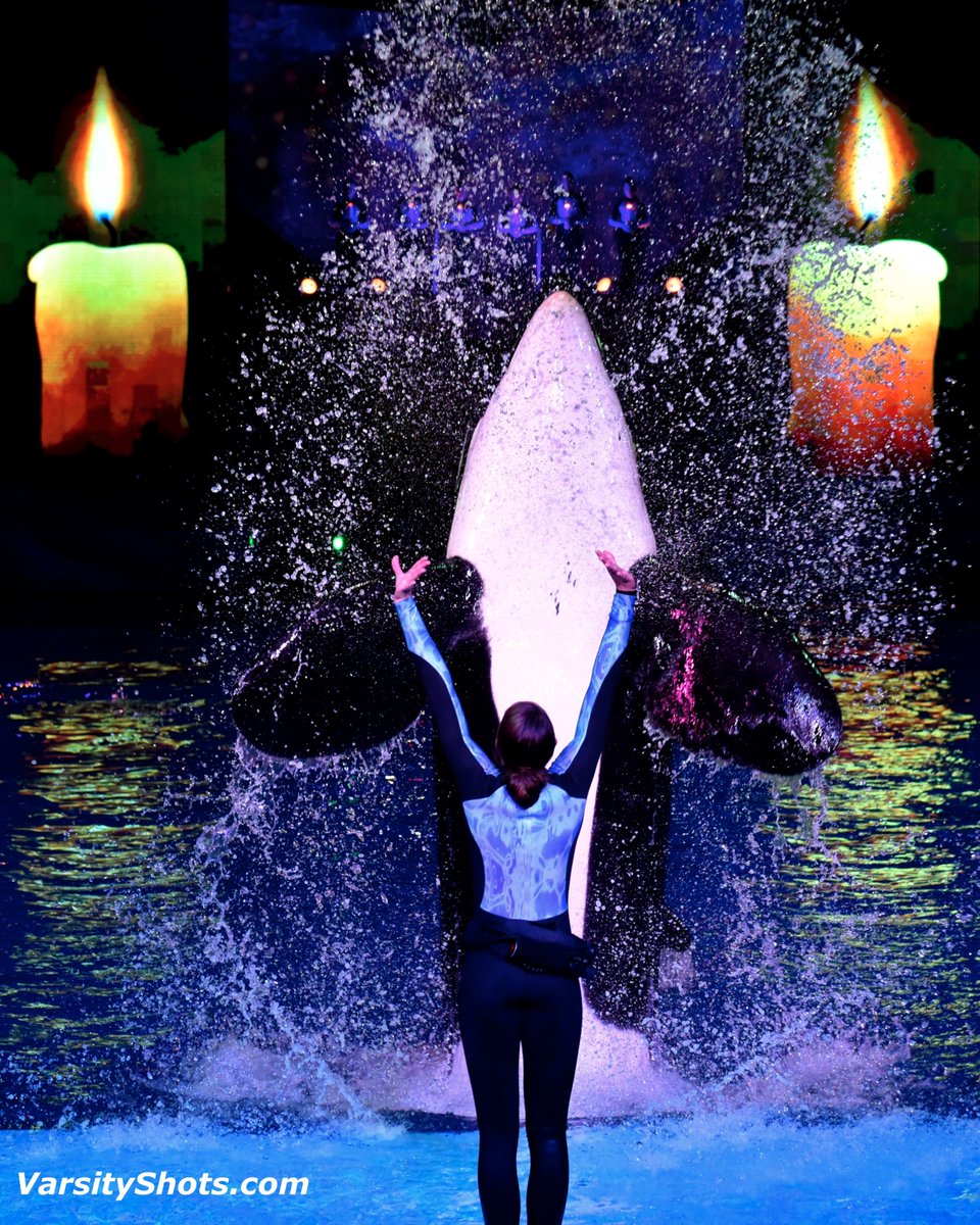 VarsityShots's tweet photo. Don't think Shamu was in Fiji filming @survivorcbs... but one SeaWorld trainer was there...@MorganSheaRicke  Check it out Feb 28 8:00pm https://t.co/iEV9EQfyDO    #CongratsDaughter https://t.co/Z4RpJtY9vu