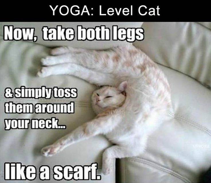 YogaPatchKC's tweet photo. We have all the giggles today 👐🏼👐🏼👐🏼

#yogapatchkc #kulacafekc #arborvitaekc #kcmo #waldokc https://t.co/FsmcRmTxbS