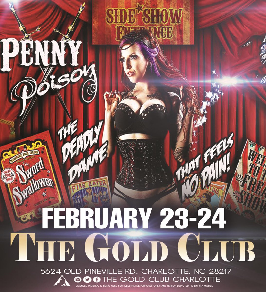 QCSwinger's tweet image. Penny Poison – Appearing Live at The Gold Club in Charlotte
February 23rd/24th #CLT #StripClubs  
Detailss: malentertainment.com/event/penny-po…