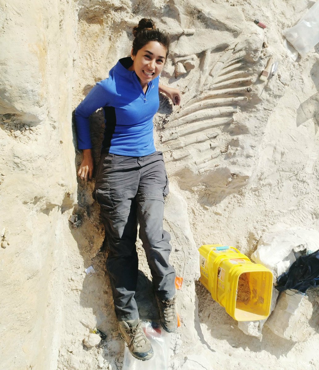 latinxscientist's tweet photo. Hola #LGBTscience! I'm a queer #wocinSTEM doing grad work in vertebrate paleontology and women's studies 💪🏽 + I run the @FemmesofStem #diversityinscience https://t.co/kjNGoOkjFL