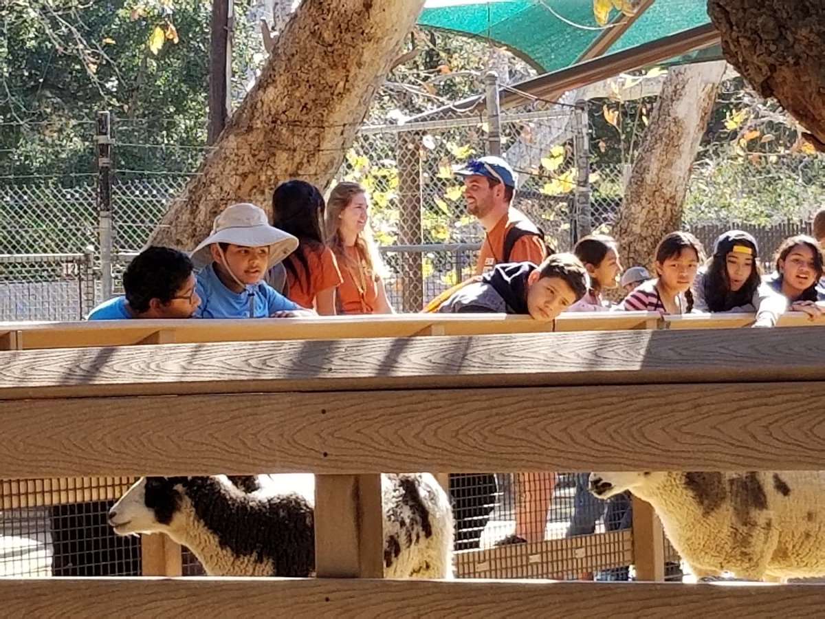 Theresa Ryan tweet media