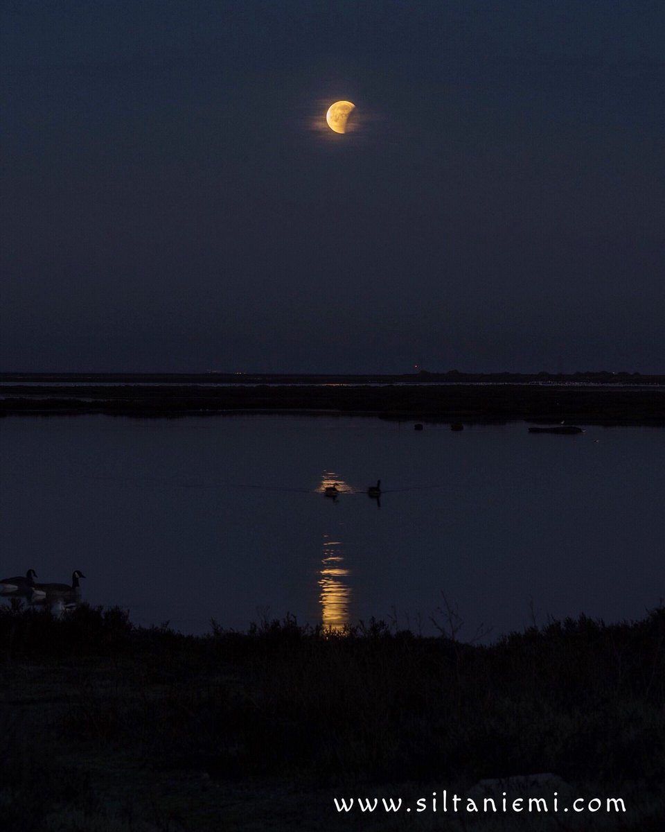 siltaniemi's tweet photo. Total Lunar Eclipse, San Jose, California #totallunareclipse2018 #lunareclipse #lunar #eclipse https://t.co/YbGJQjek6i