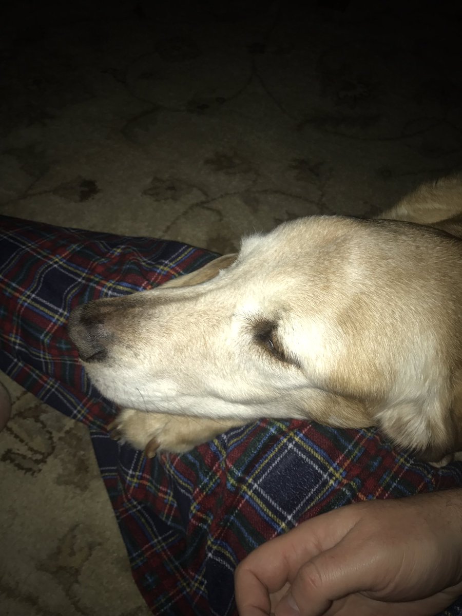 Miss you Max