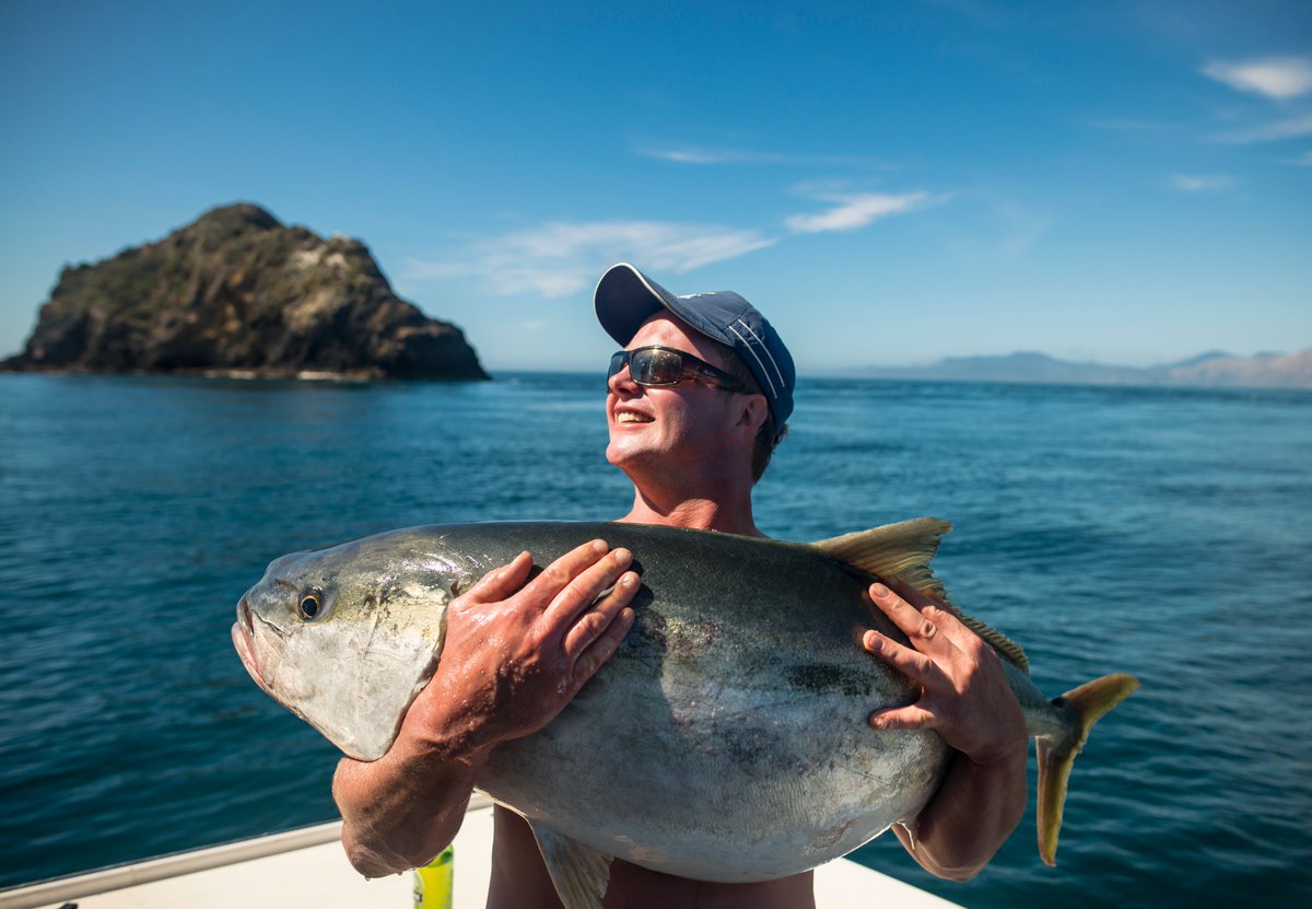 Time for dinner - kingfish sashimi with a glass of WR Sauvignon Blanc - thanks winemaker Sam Rose for reeling this one in #winechat