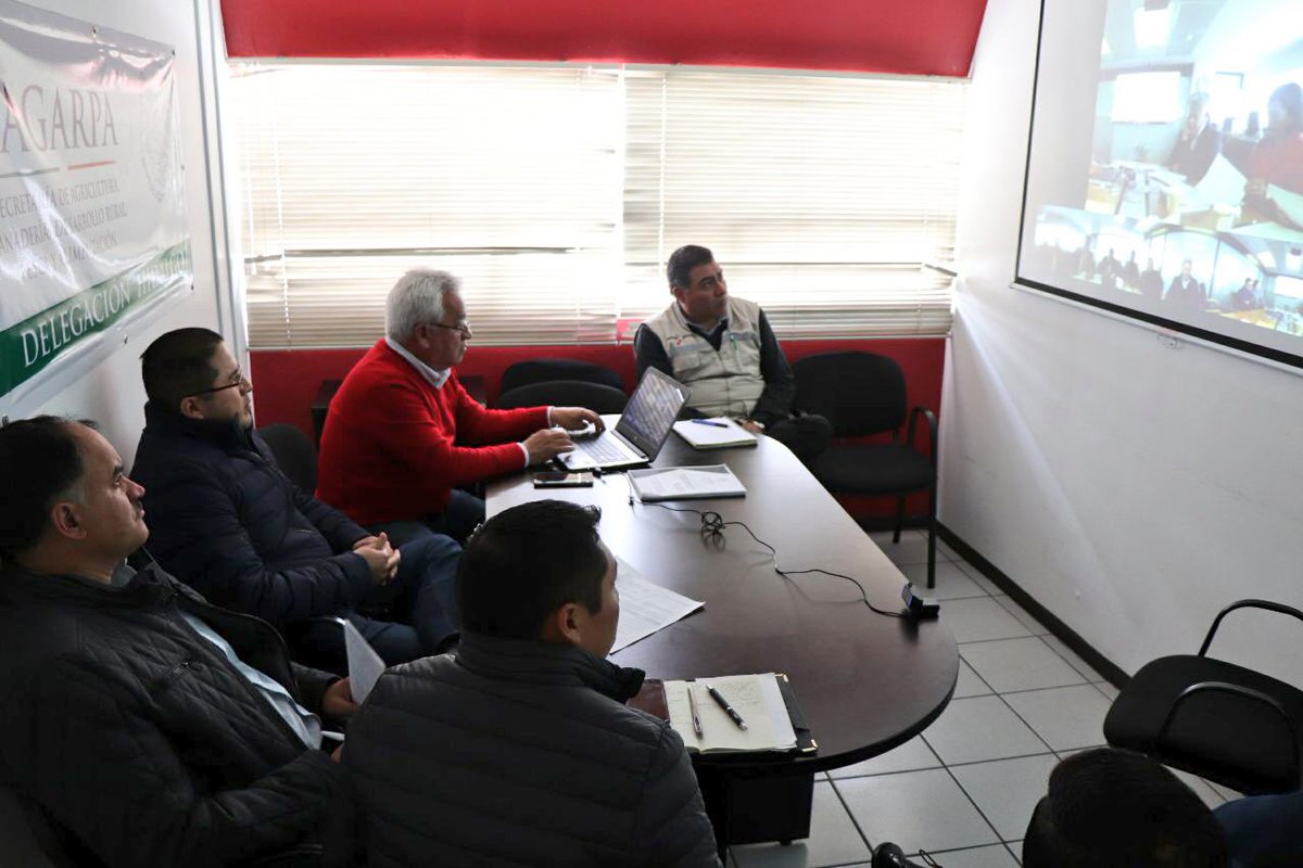 CamarilloMVZ's tweet photo. Hoy tuvimos videoconferencia con oficinas centrales de @SAGARPA_mx para definir detalles de la operación del #ProagroProductivo https://t.co/onoxwpgmeD