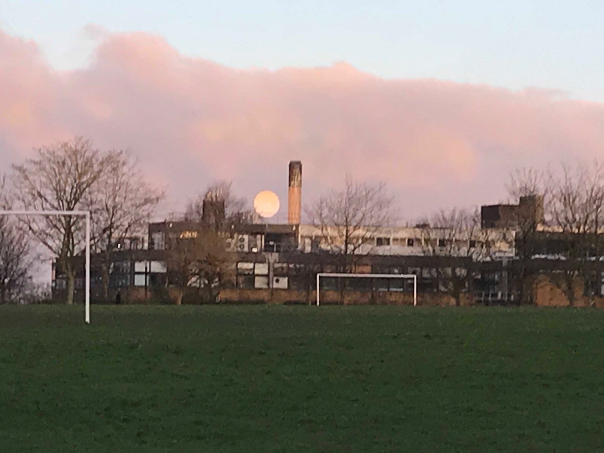 Steve Milan tweet media