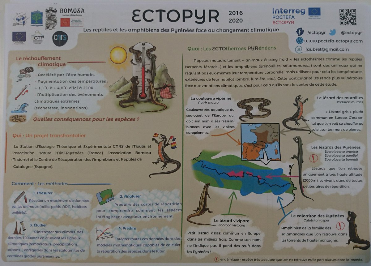 Alexandre Cazaux tweet media