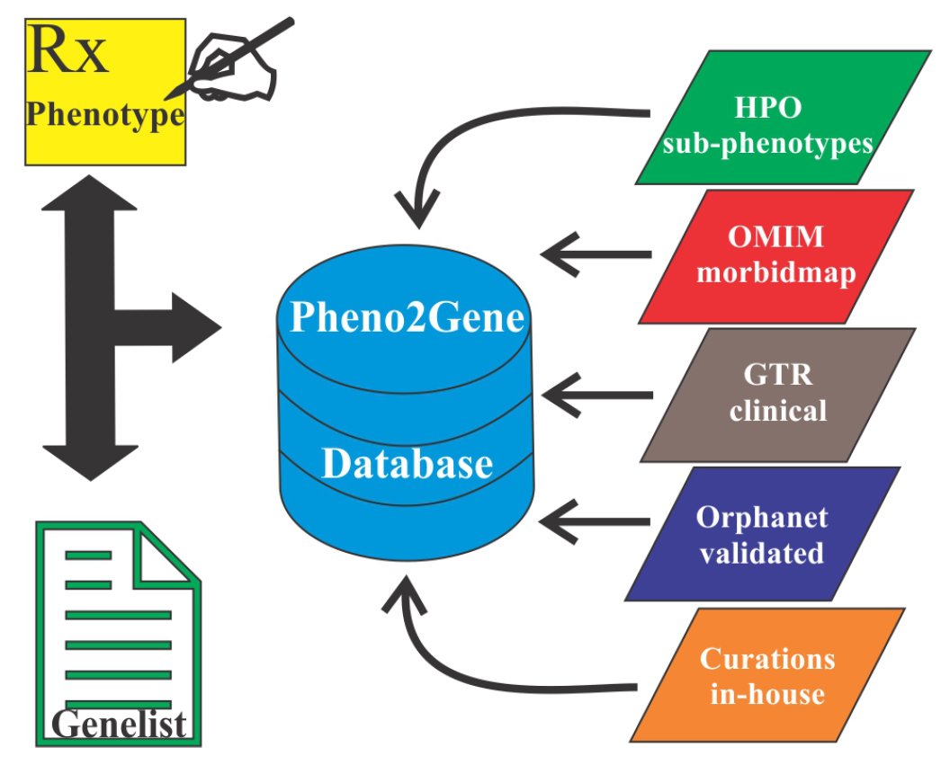 read selenium in plants molecular physiological ecological