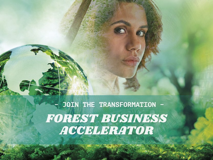 SISP's tweet photo. Want to build the future of forest? https://t.co/nIwyV4WNQM Our member @bizmakerse runs an 8 month Forest Business #Accelerator program supporting Swedish #startups w @the_sca, @IBM & #Processum. More info & applications: https://t.co/P5z000wv3x. Deadline 1/3 #innovateswe https://t.co/tAskJAEzXy