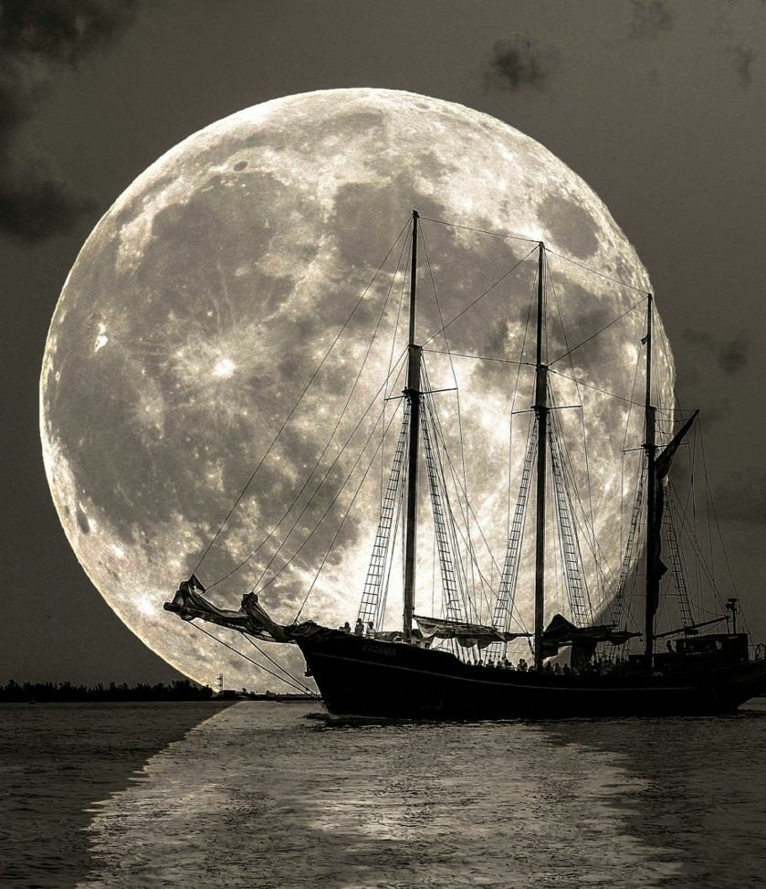 CasaLettori's tweet photo. La parola che cercava continuava a sfuggirle nell'avanzare dell'oscurità
#AtlanteDelleEmozioni con @Robinson_Rep
#LaPreda Zola @EdizioniClichy
@fedefioro @nellina99 @CimarolliNella https://t.co/KVMfR6PzdR