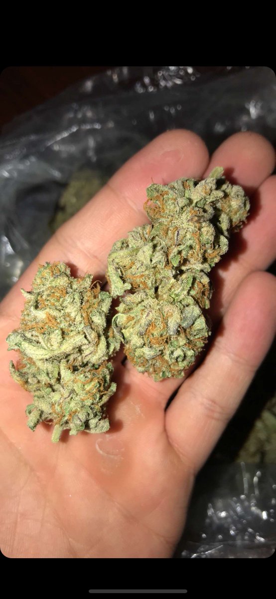 SmokePlug tweet picture