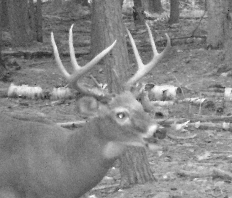 SCHuntingCo's tweet photo. https://t.co/n81YehWLYy shalda creek whitetails hunting company https://t.co/c7tdG2cxnX