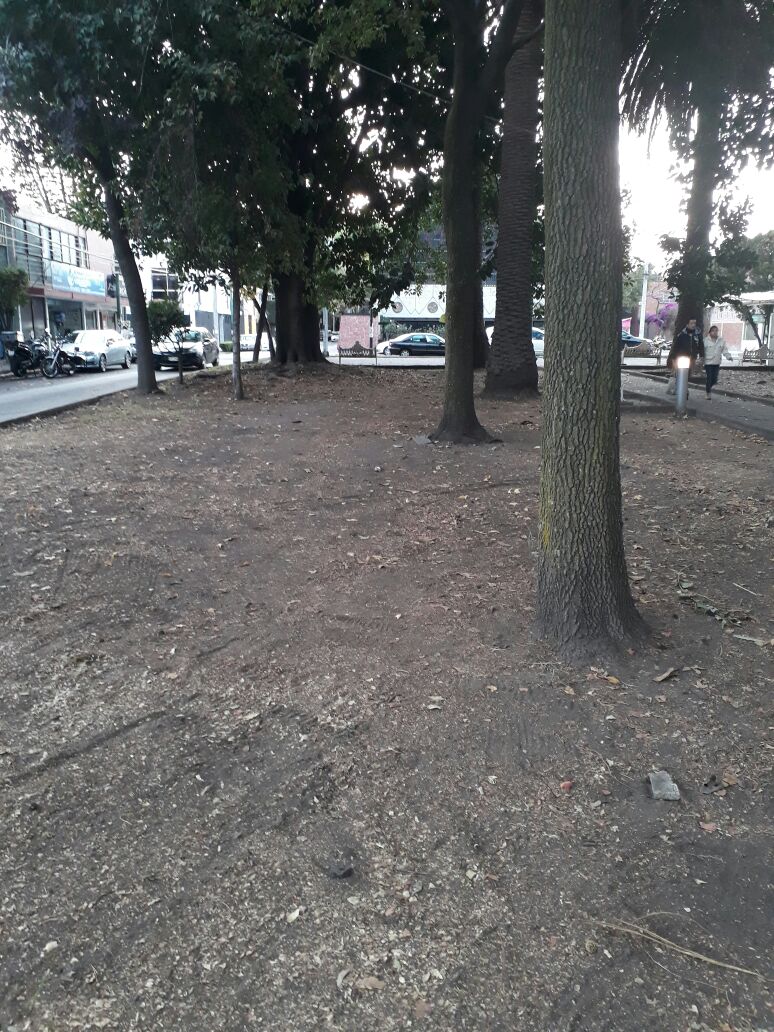 elvianuez2's tweet photo. @Del_Coyoacan 

Se le agradece a la delegación de Coyoacán y a la nueva unidad de atención y servicios de Tlalpan, por el trabajo de limpieza y recolección de hojarasca en el jardín de las rosa de la colonia El Rosedal. https://t.co/eHC3Sqr6Id