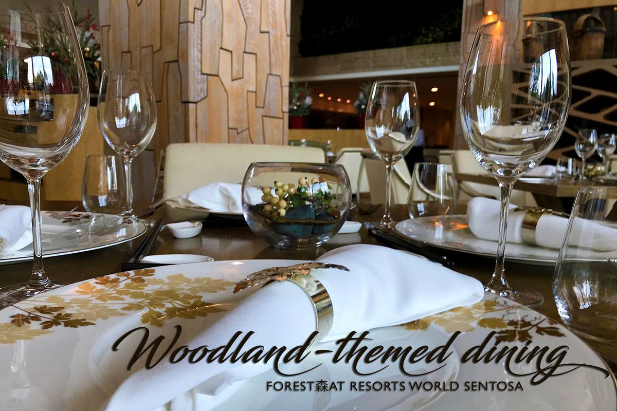 rwsentosa's tweet photo. Where nature and fine dining meet #RWSDiningArtisans
#forest #samleong #oceanrestaurant #catcora #finedining #nature #themed #restaurants #rws #singapore #exploresingapore #visitsingapore #yoursingapore #sgeats #sgfoodies #wheretoeatsg https://t.co/yzO1G8LO90