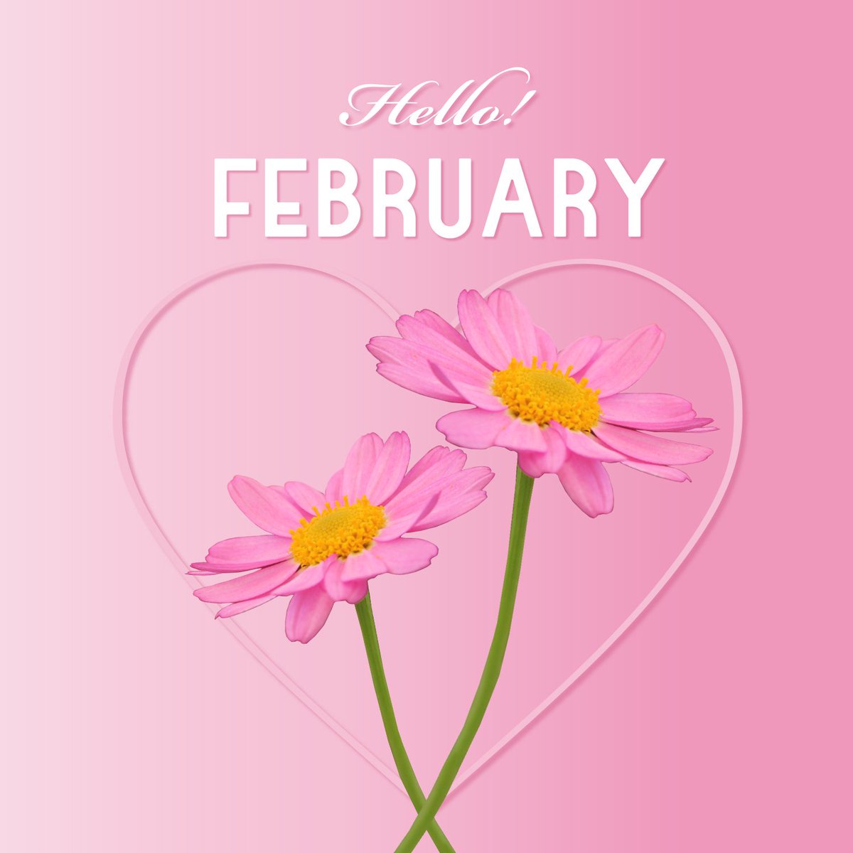クラブコスメチックス 公式 Twitterissa 2月がスタート 2月1日の誕生花はマーガレット ピンクのマーガレットの花言葉は 真実の愛 バレンタインに向けて あなたは誰を思い浮かべますか Pink Love Flower Margaret February 女子力向上委員会