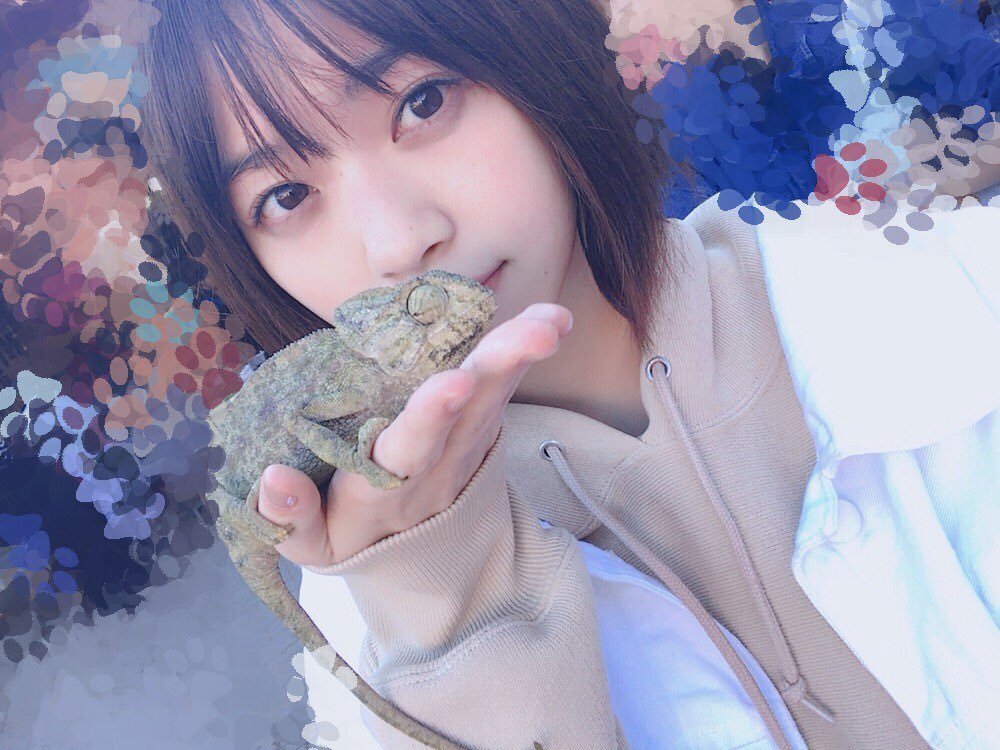 jurpgjoapg's tweet photo. 乃木坂アカウント作りました！基本箱推しだけど、七瀬、みなみちゃん、美波ちゃん大好き！

#乃木坂46
#乃木坂46ファンと繋がりたい
#乃木坂好きな人と繋がりたい
#乃木坂好きな女ヲタさんと繋がりたい
#友達募集中
#乃木坂好きな人RT
#乃木坂好きな人スルー禁止
#RTした乃木坂ファン全員フォローする https://t.co/LqqRv3mgEZ