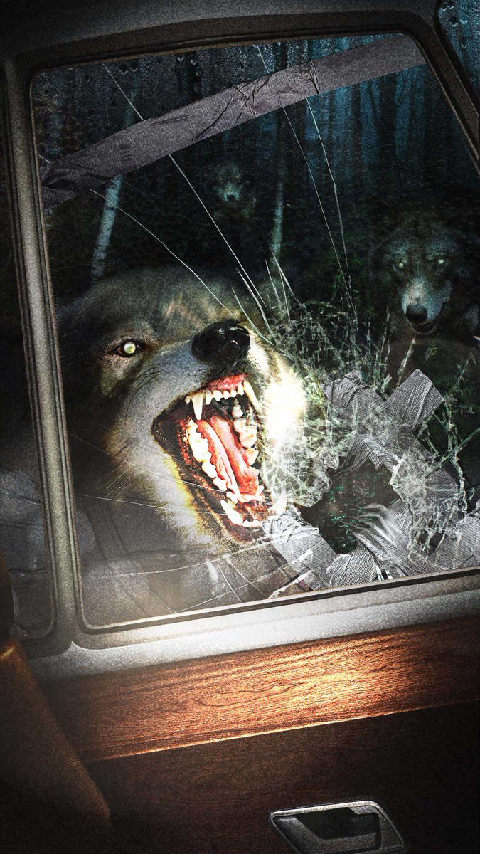 sabrinaivy's tweet photo. Morgan's trapped in an RV surrounded by wolves? Is this real? #senderunknown #indiegaming #mystery https://t.co/BMMulfIrjj https://t.co/GzKRKWcoY5