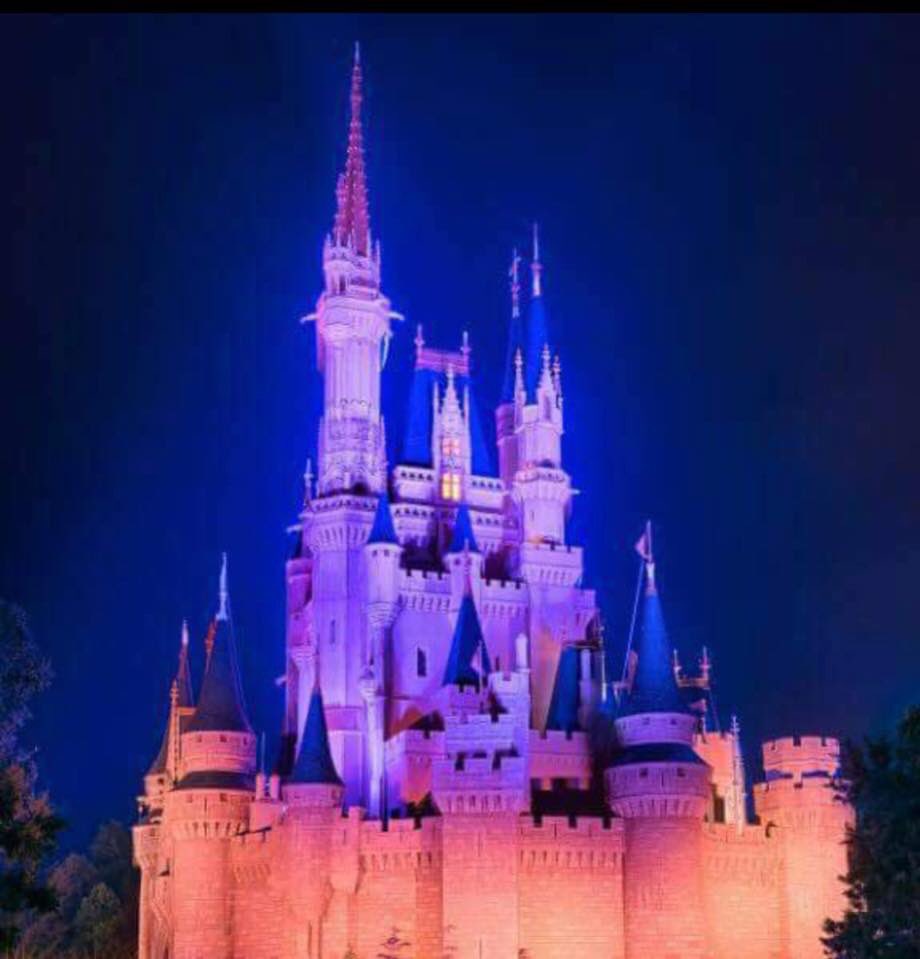 KYHighFootball's tweet photo. Disney World is showing their support for Marshall County High School. 
#MarshallStrong https://t.co/2fqZhqgPrv