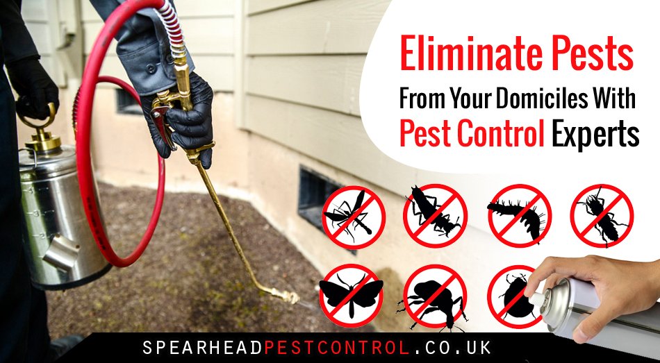 SpearheadPest's tweet image. Dealing with #pests can be a displeasing task, especially if you can’t get a professional #pest_controller out to you. #Spearhead is the solution to all of your troubles, they are the best in providing #pest_control_services to you anytime. Check goo.gl/hcgkpx