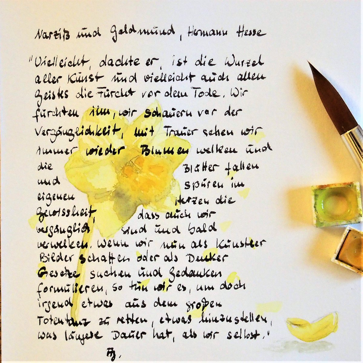 Muschelfinderin's tweet photo. Und los geht es in den Februar.
#eineFarbereicht @goranaguiboud #gelb #yellow #Narzisse #HerrmannHesse #GeschichtenmitTuscheundPinsel #dailychallenge https://t.co/ATMj3rinQz