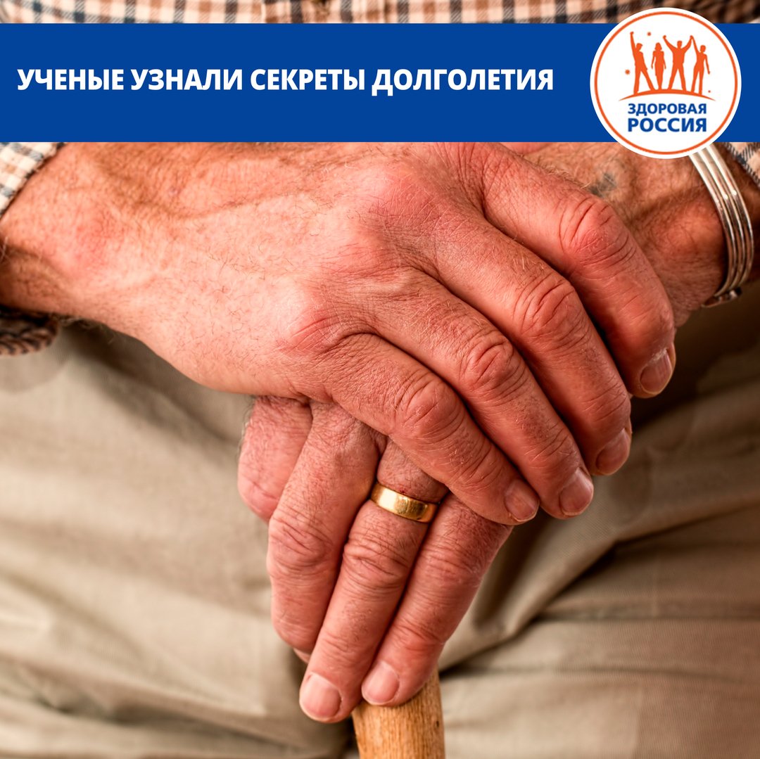 Международная группа экспертов из США и Италии провела исследование, которое показало, какими качествами необходимо обладать, чтобы прожить долгую жизнь. takzdorovo.ru/dvizhenie/uche… #такздорово #будьтездоровы #здоровыйобразжизни #вздоровомтелездоровыйдух #ЯзаЗОЖ #зож