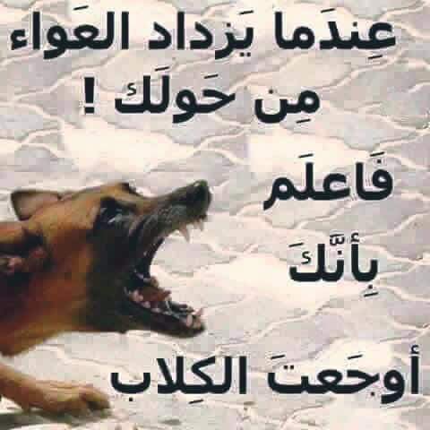 waseem (@wassem123eid) on Twitter photo 