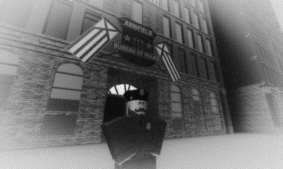 The Free State of Annfield tweet media