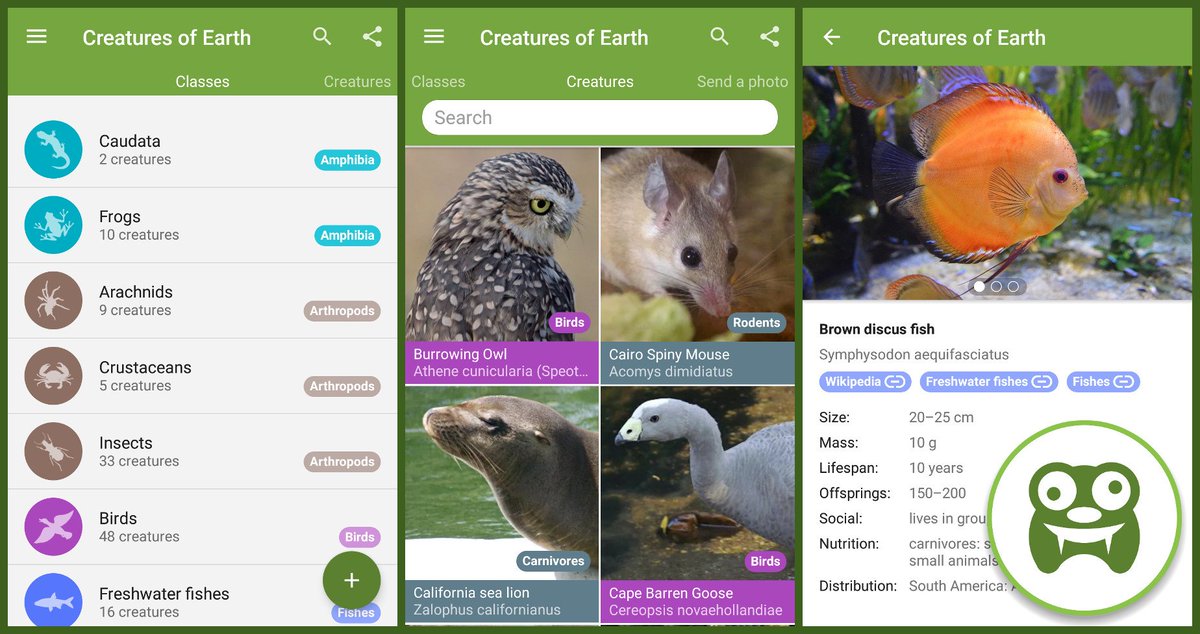 brain_trapp's tweet photo. Check out my "pet" project Creatures of Earth (for Android). Please enjoy a small look into the animal kingdom. 

https://t.co/pEzGOkQ726 https://t.co/JVpyghE7TN