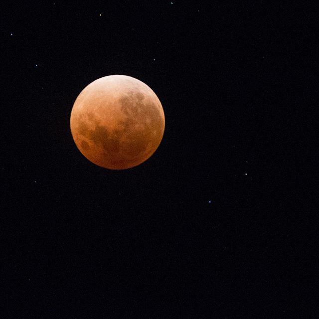 ourANU's tweet photo. Our talented ANU photographer Lannon Harley stayed up late to get this stunning image of last night's super blue blood moon looking over campus.

#ourANU #Kambri #StudyCanberra #VisitCanberra https://t.co/Hgmi5tXQ7Y https://t.co/6t4HdzapJc