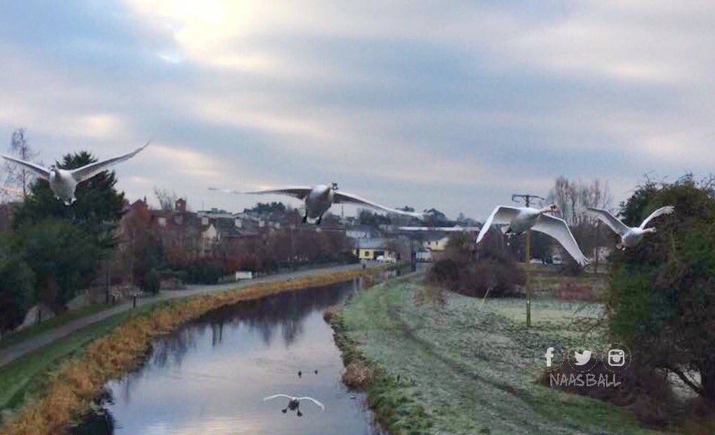 Flying into February #Naas