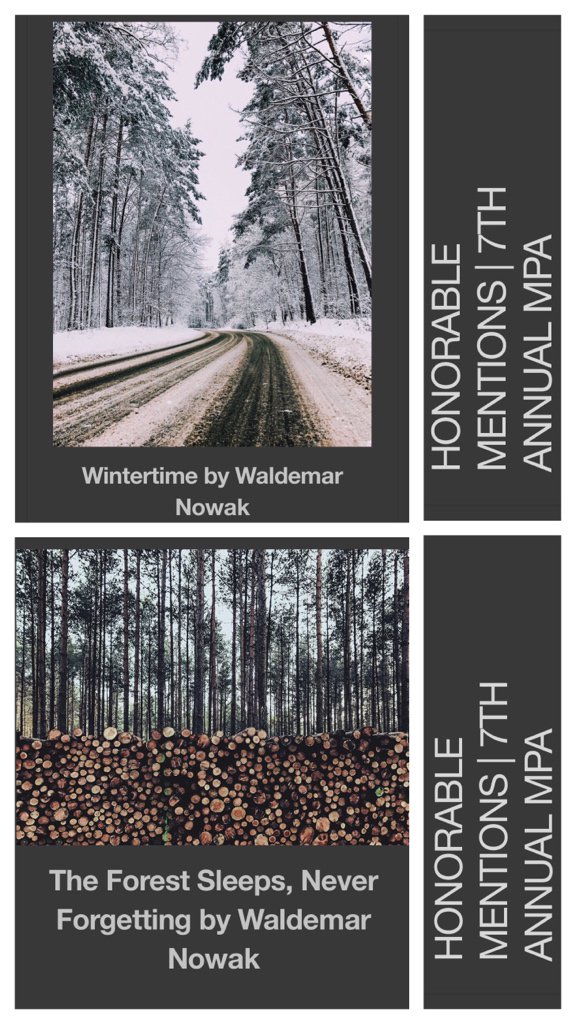 WB Nowak tweet media